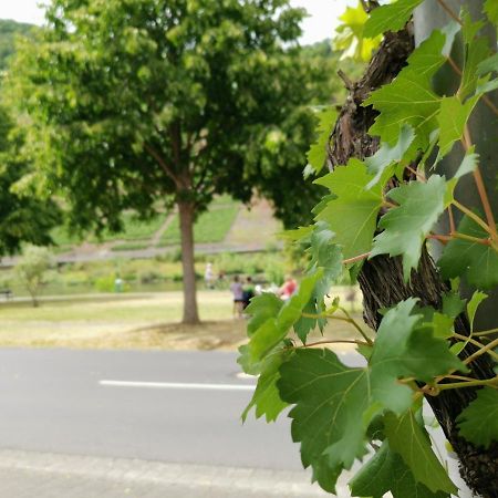 Ferienwohnung Moselblick Bruttig-Fankel Exteriér fotografie