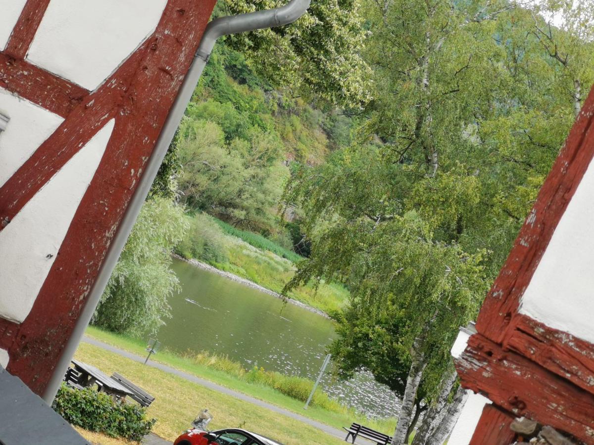 Ferienwohnung Moselblick Bruttig-Fankel Exteriér fotografie